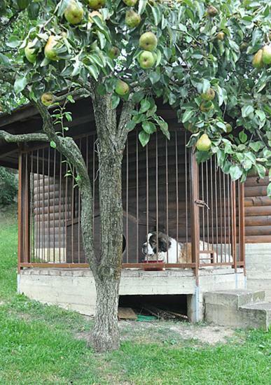 Садиба У Крайлюків Yaremtche Extérieur photo